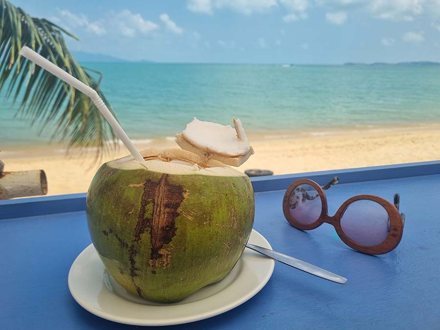 Koh Samui Thailand Swimwear trends (1) coconut