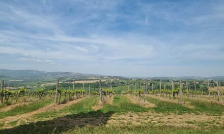 The Grape Debate – Umbria vs. Tuscany Wine Tasting Adventures