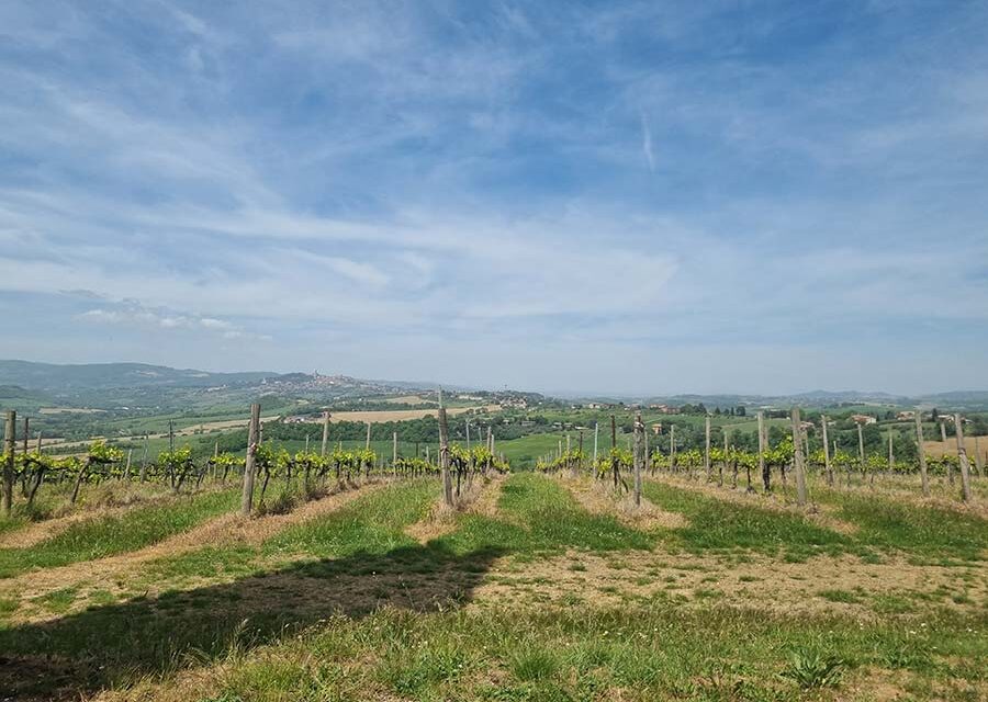 The Grape Debate – Umbria vs. Tuscany Wine Tasting Adventures