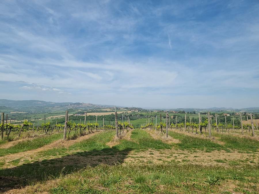 Todi Umbria Wine Italy (4)