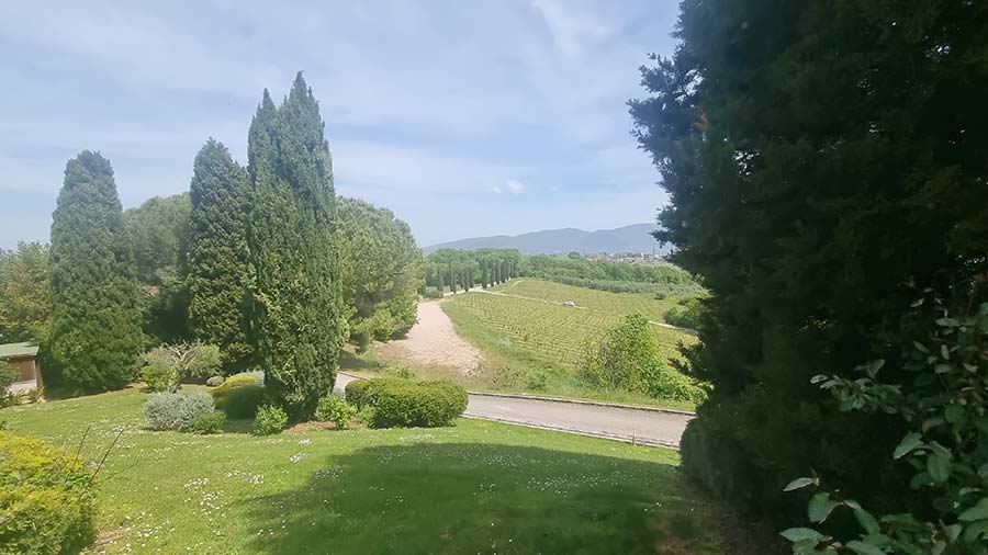 Todi Umbria Wine Italy (4)