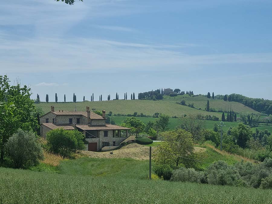 Todi Umbria Wine Italy (4)