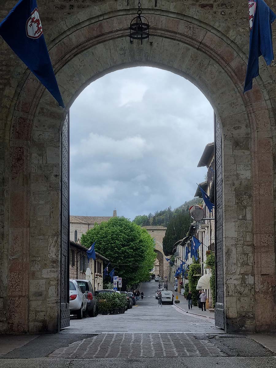 Lemon and Sunflower italian prints (3)