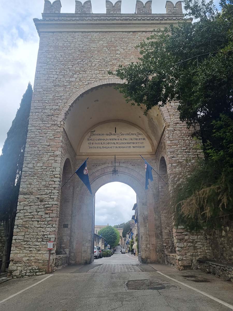 Lemon and Sunflower italian prints (3)