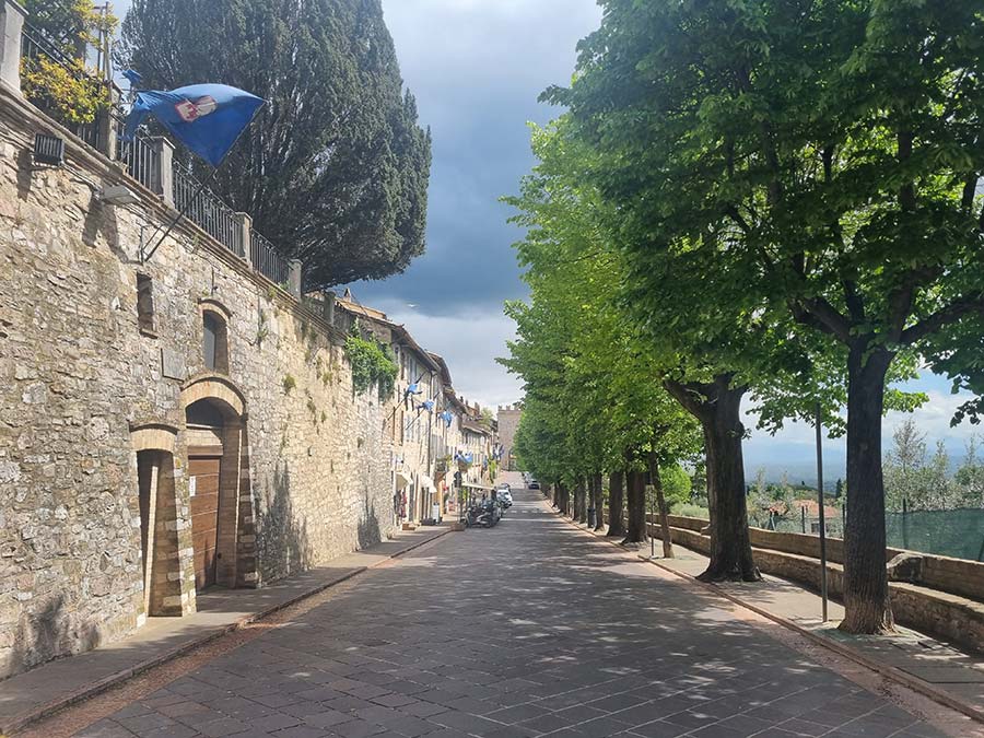 Lemon and Sunflower italian prints (3)