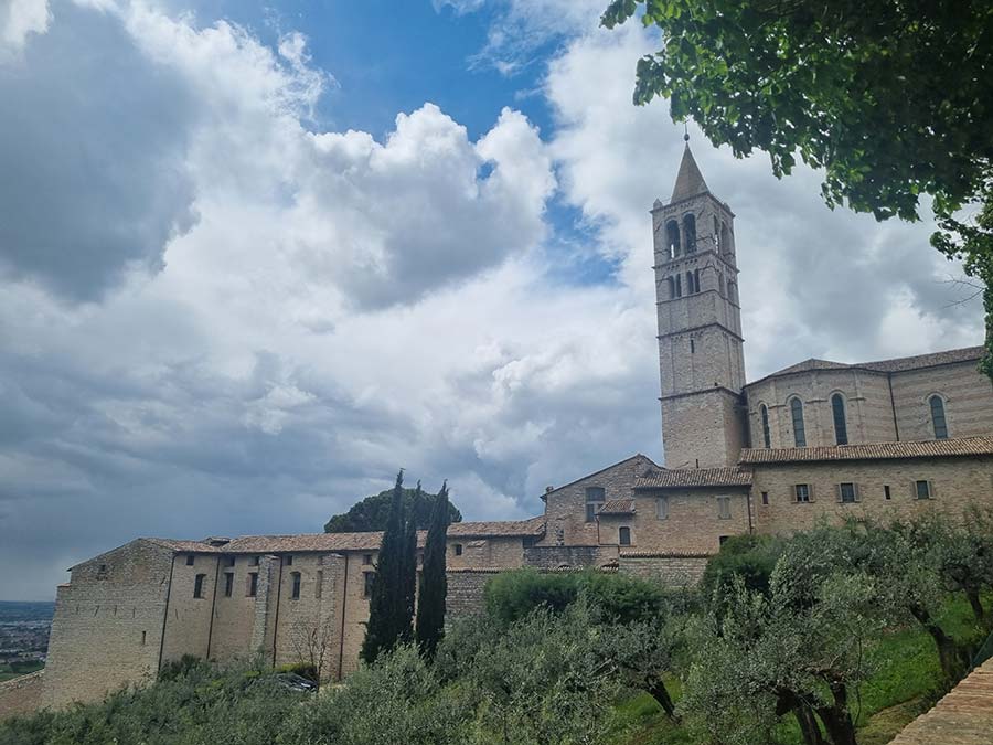 Lemon and Sunflower italian prints (3)