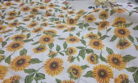 Fruit & Sunshine -The Radiant Revolution of Table Cloth Prints