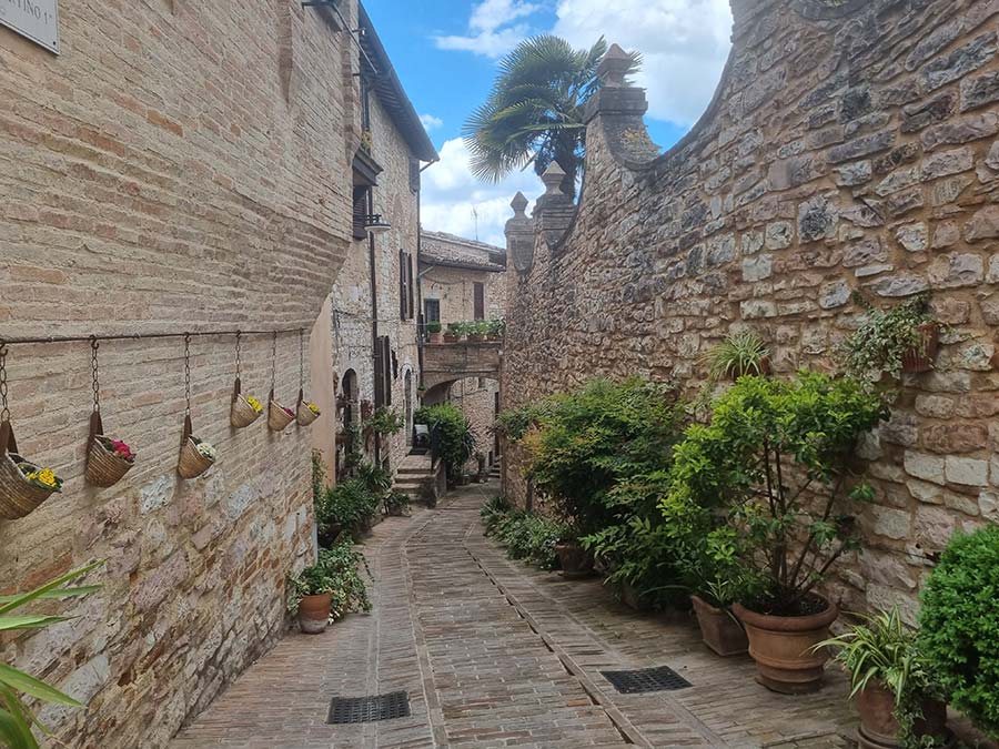 Discovering the Charms of Spello, Umbria - A Floral Paradise 1 (4)
