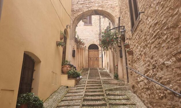 Storage – Why You Should Never Bury Your Gold, Wardrobe & Cars