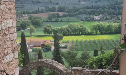 The High Life – A Tale of Two Countries – Italy vs. Thailand in a Quest for Quality Living