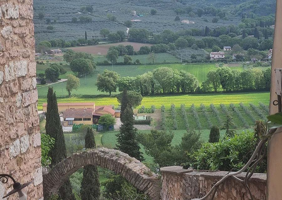 National Service Versus Kids Working On A Farm