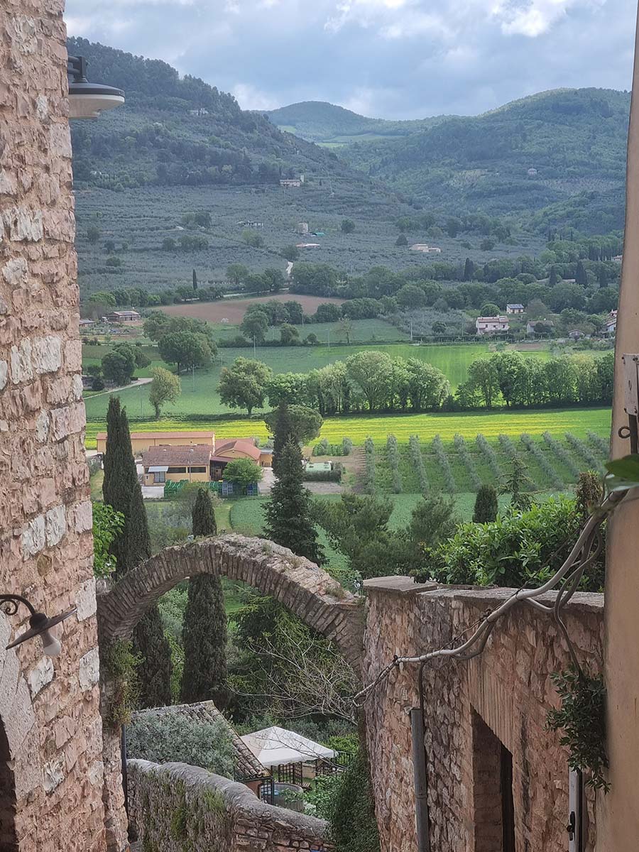 Discovering the Charms of Spello, Umbria - A Floral Paradise