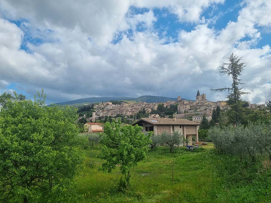 Discovering the Charms of Spello, Umbria - A Floral Paradise