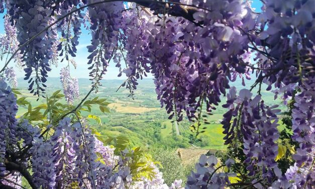 A Fashionista’s Quest for A Chic Italian Nest Amidst The Airbnb Craze