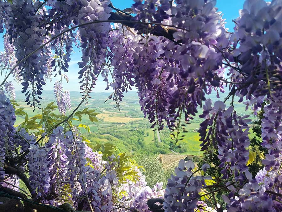 Todi Umbria Italina food westiria (4)