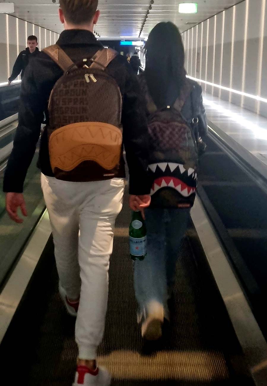 shark backpack