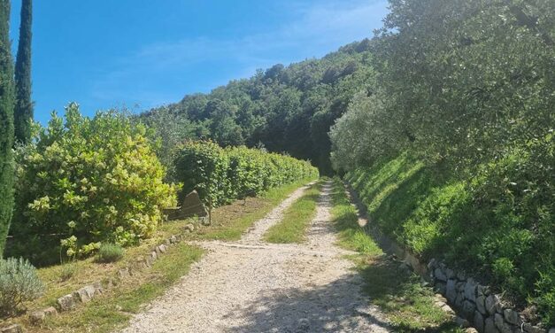 Property Hunting in Italy – Can Your Car Survive Italian Roads?