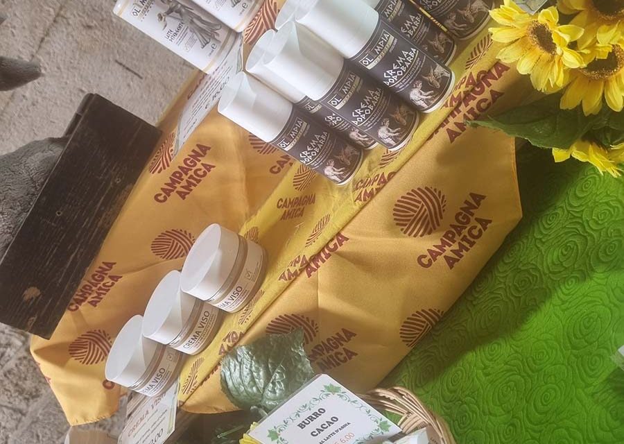 Skincare – Can Donkey Milk Reverse Aging?