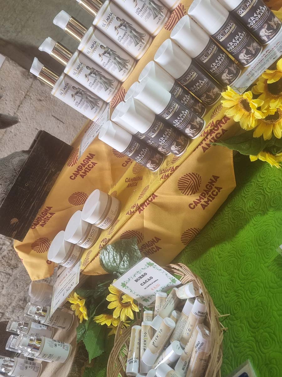 Skincare - Can Donkey Milk Reverse Aging