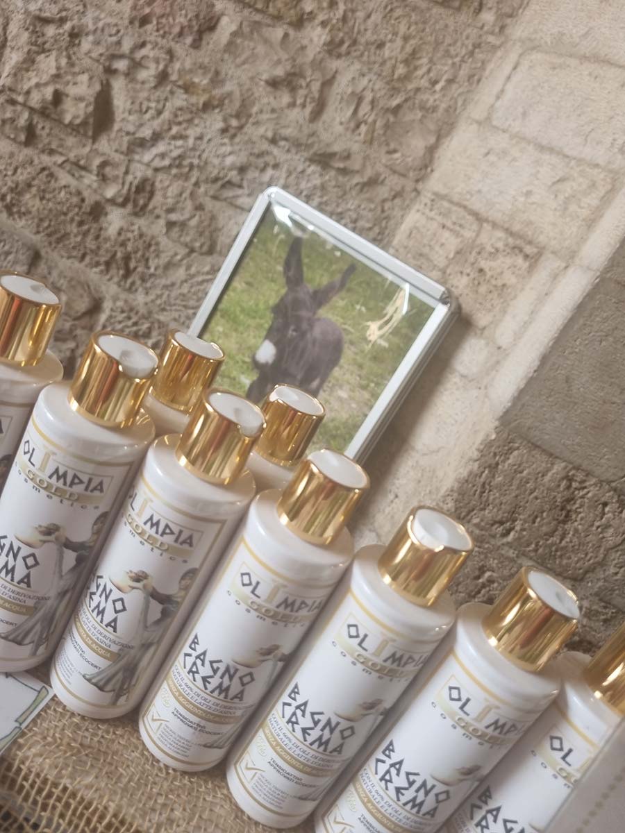 Skincare - Can Donkey Milk Reverse Aging