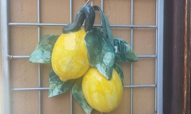 Lemon Accessories – How to Rock Lemon Fashion This Summer