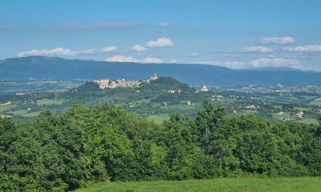 Estate Agents of Italy – The Good, The Bad, And The Completely Useless.