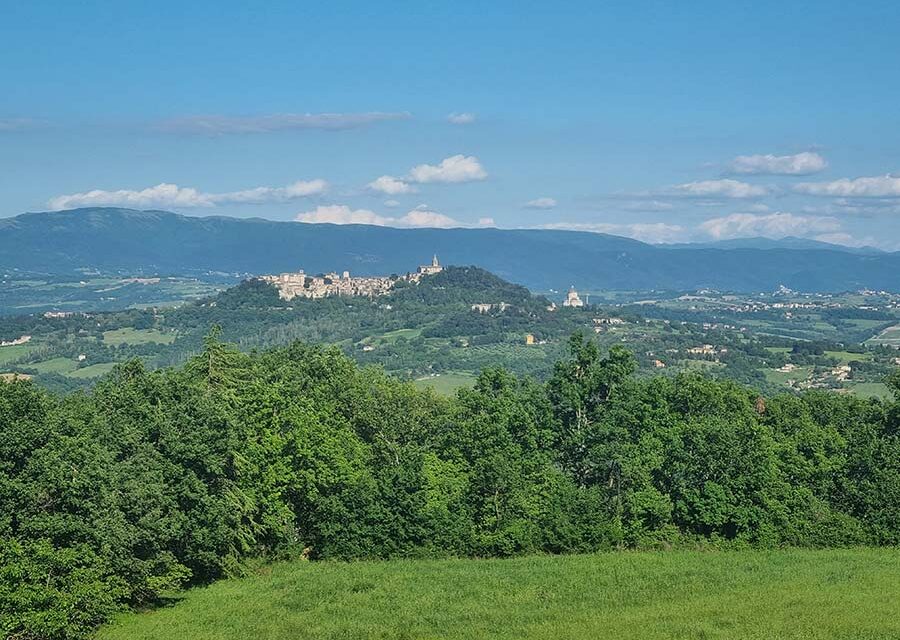 Estate Agents of Italy – The Good, The Bad, And The Completely Useless.