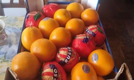 Farmers: Why We Must Preserve Our Local Food Chain For A Healthier Lifestyle