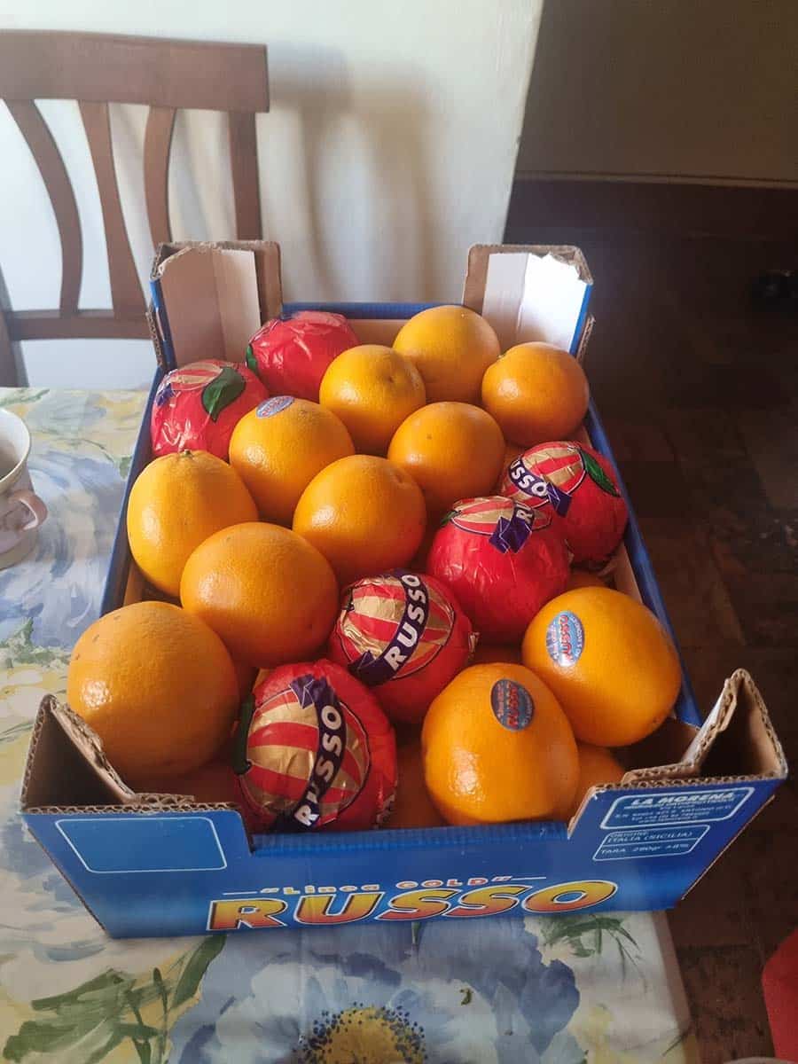 oranges from Sicily