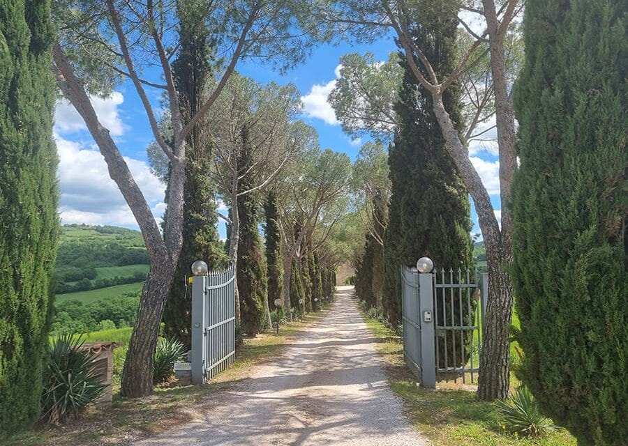 Italy’s Rental Scene – A Glamorous Battle Against Dishonest Landlords