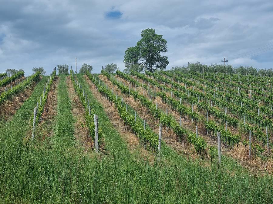 Property Hunting in Italy - Get Used to Different