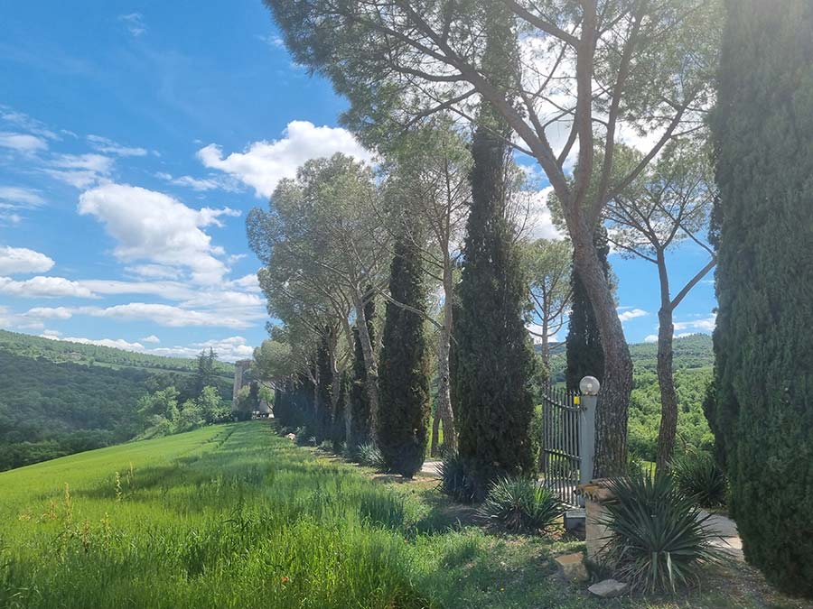 Property Hunting in Italy - Get Used to Different