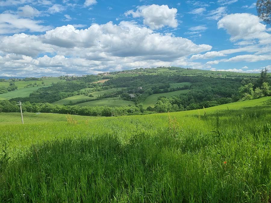 Property Hunting in Italy - Get Used to Different