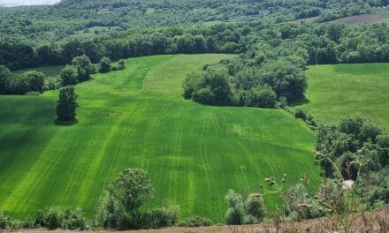 Italian Rental – Help Me to Help You