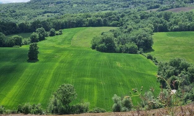 Italian Rental – Help Me to Help You