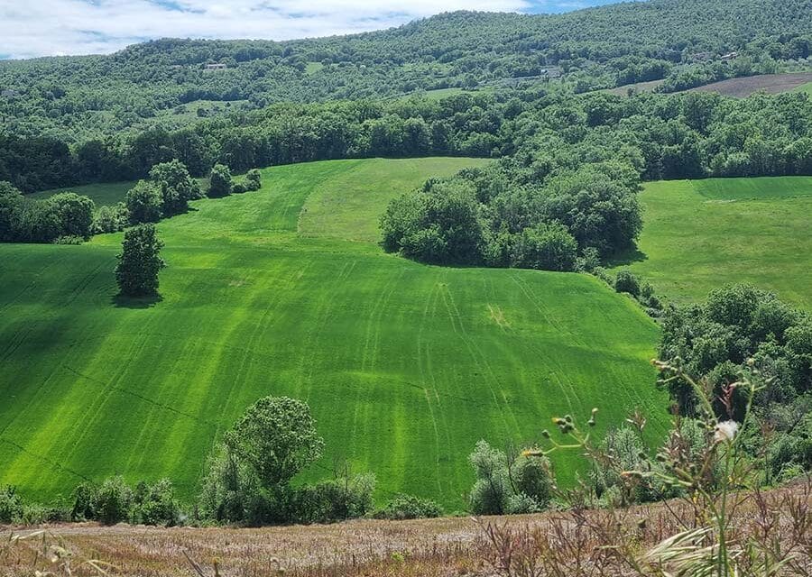 Italian Rental – Help Me to Help You