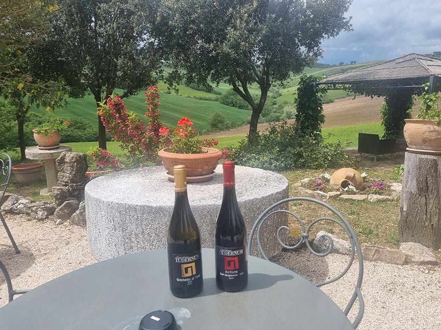 Restoring Historical Castle Umbria - What Does It Take wine