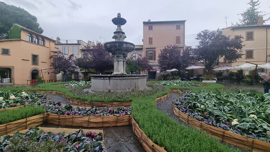 Transform Your Garden into a Culinary Wonderland With Cauliflower & Cabbage