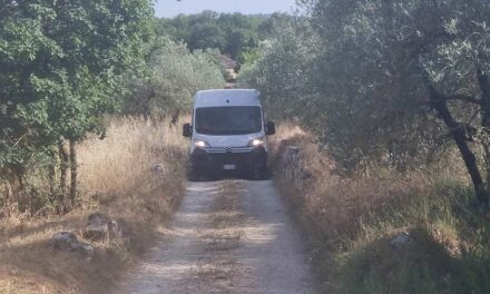 Moving House Organisational Tips Before You Move Into Your Home