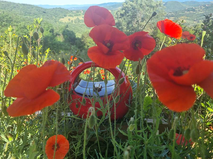 poppy-red-wood-bag-2