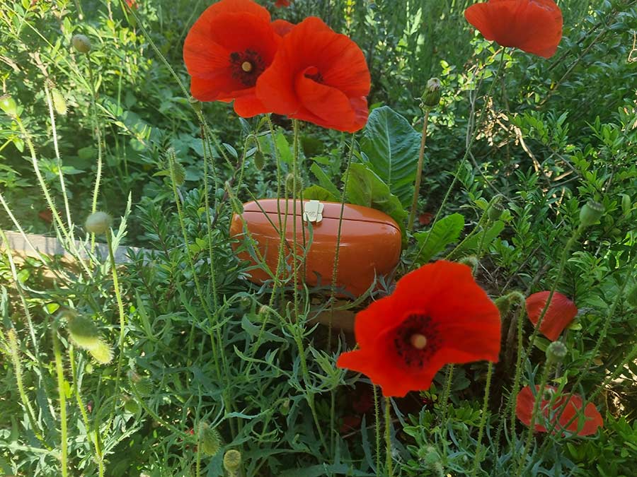 orange-wooden-bag-poppy