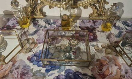 IKEA PAX BERGSBO Internal Draw Review – The Opulent Organizer