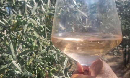 Wine, Sun, and Tuscany: My Rosé Obsession This Summer
