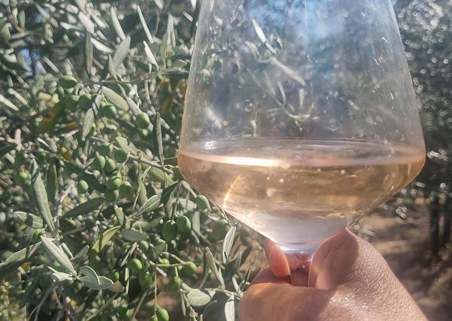 Wine, Sun, and Tuscany: My Rosé Obsession This Summer