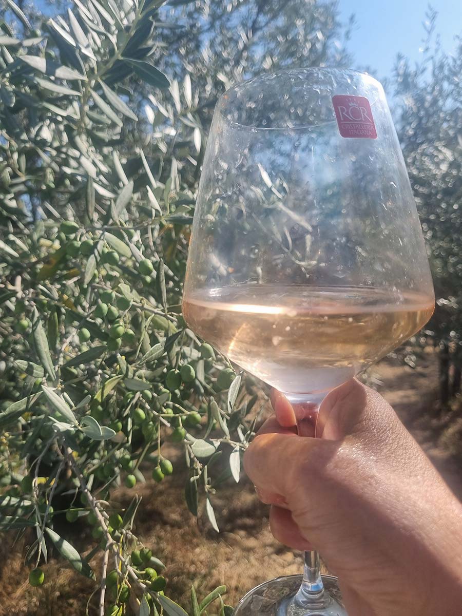 Puech-Haut-Rose-wine-France