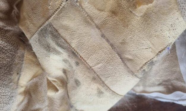 Fur Vintage Coats – How Are They Made?