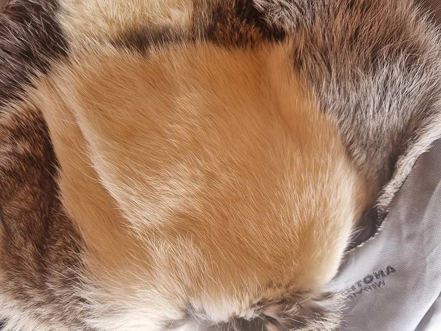 fur-pelt-skin
