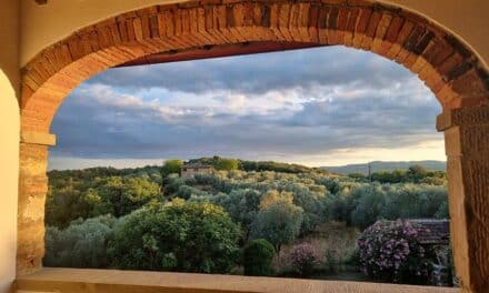 DHL Express Italy – Delivery Incompetency Review