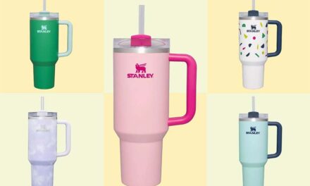 Stanley Cup – Made My Daughter Drink Gallons Of Water