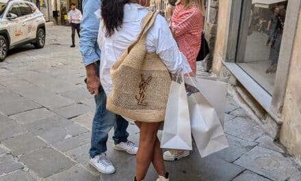 YSL Bamboo Bag: Is Luxury Worth the Bamboo Price?